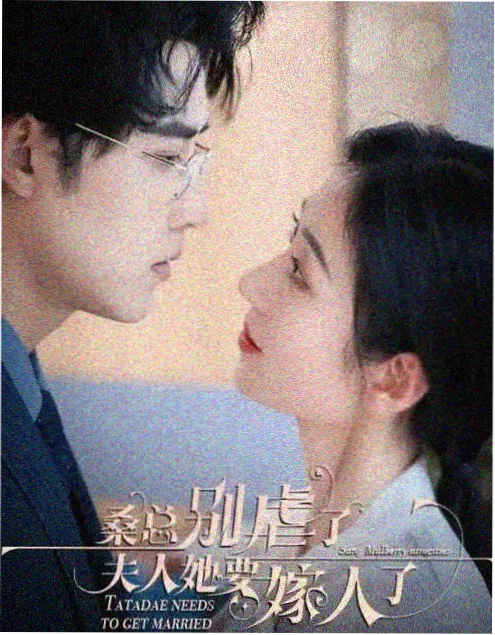 闪婚笔记 短剧全集免费观看封面